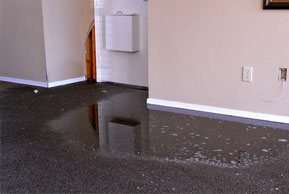 Carpet Flood Water Damage Restoration