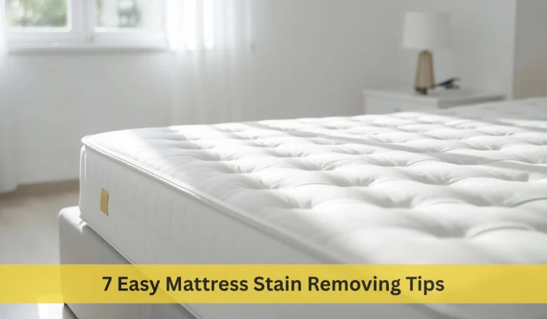 Mattress after cleaning