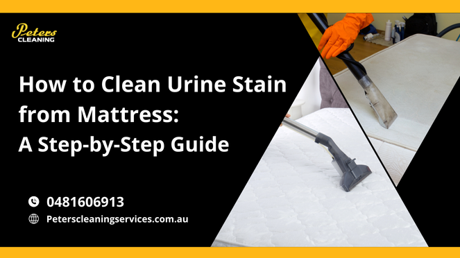 urine stain removal