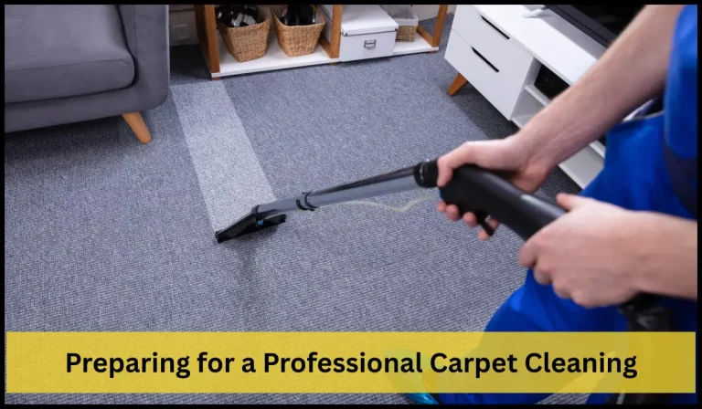 Professional cleaning a carpet with a vacuum cleaner in a living room.