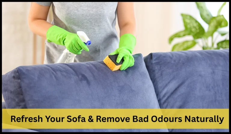 Person cleaning & refreshing the blue sofa with green gloves Remove Bad Odours Naturally.