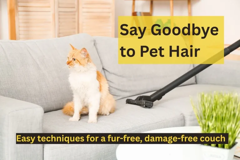 Person removing pet hair from beige sofa with roller while cat sits nearby.